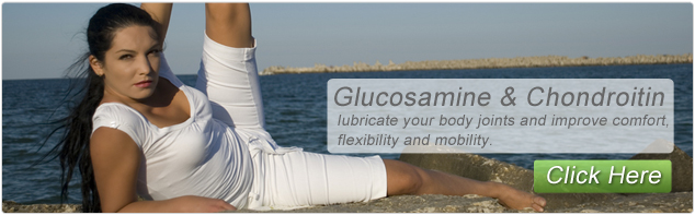 Glucosamine and Chondroitin  Banner